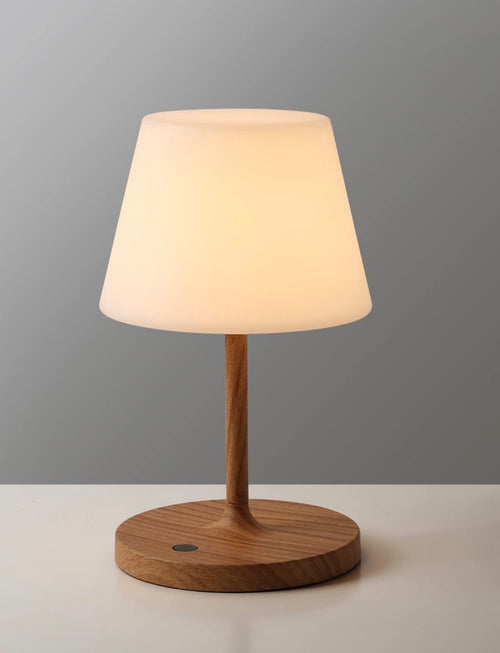 Water proof Neptune Lamp